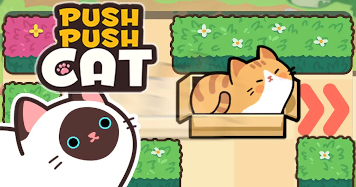 Push Push Cat