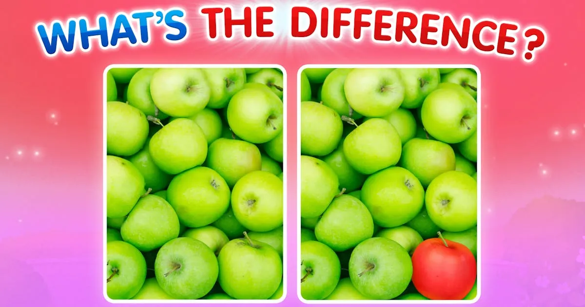 What's The Difference?